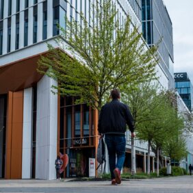 corporate-green-wall