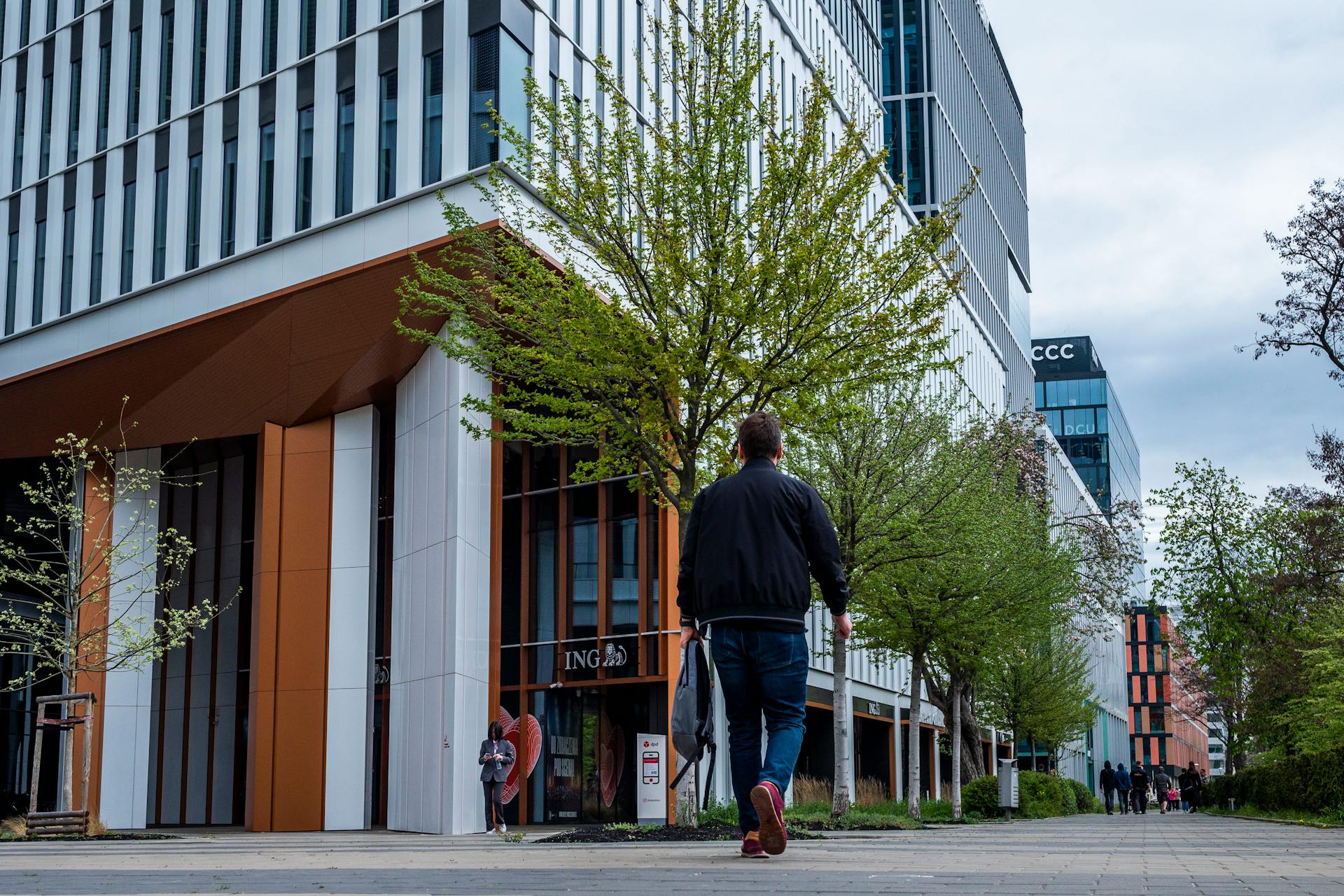 Corporate Green Wall – Annual Plan